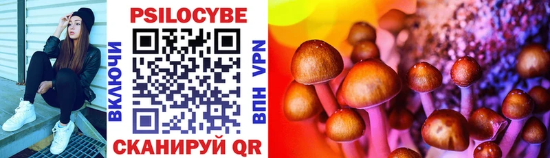 магазин продажи наркотиков  Белоозёрский  Псилоцибиновые грибы MAGIC MUSHROOMS 